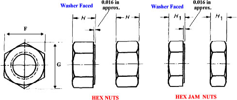 Hex Nut Dimensions