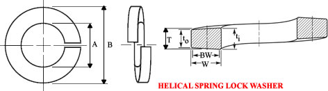 Dimensions of Helical Spring Lock Washers